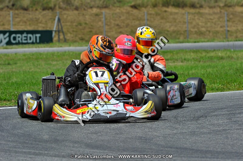 DSC_ (167).jpg